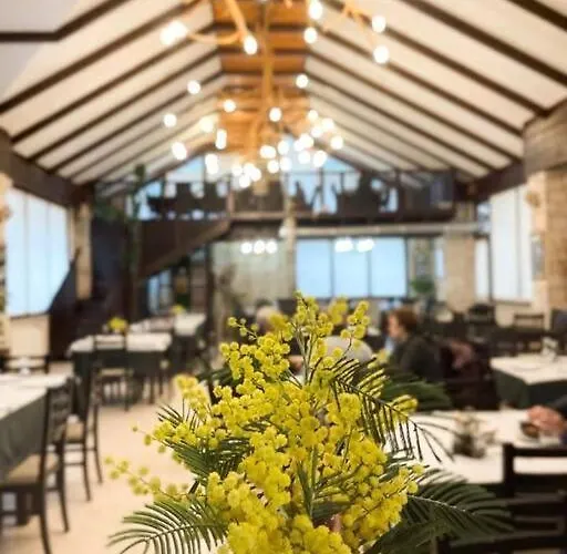 Live&work Commercial Bukra Babru